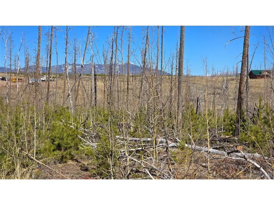 1460 Von Heyl Ln, Fort Garland, CO 81133 - #2