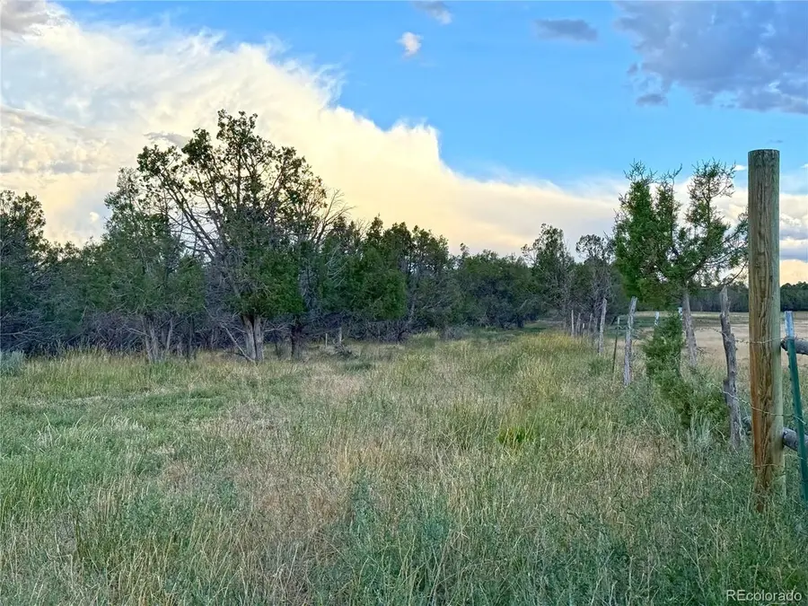 34706 Fruitland Mesa Rd, Crawford, CO 81415 - #2