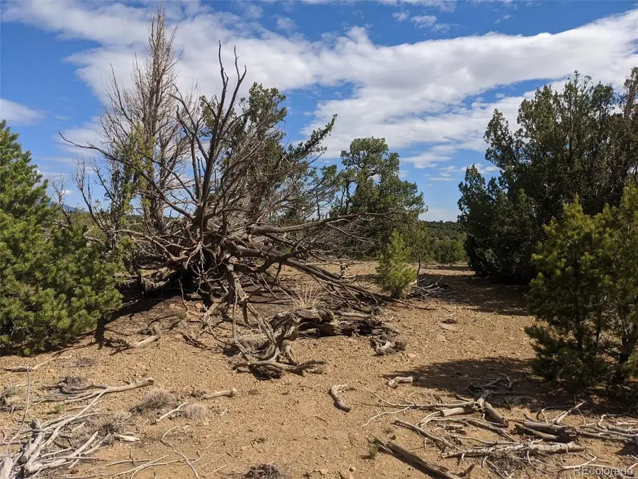 623 Cello Azui Dr, Walsenburg, CO 81089 - #3