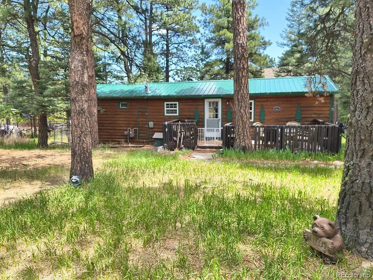 10594 Charles Ln, Rye, CO 81069 - #1