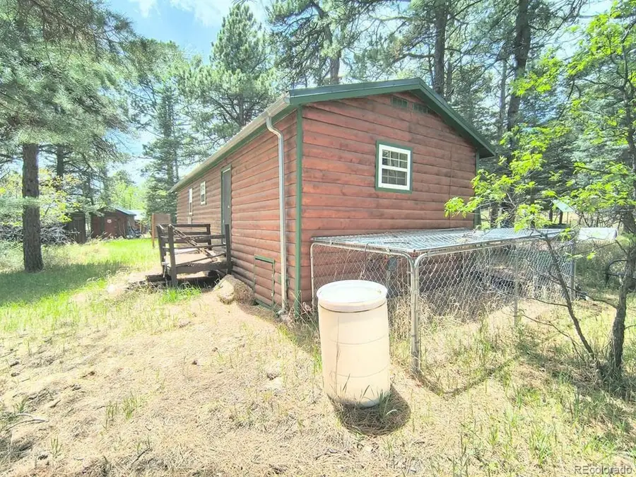 10594 Charles Ln, Rye, CO 81069 - #2