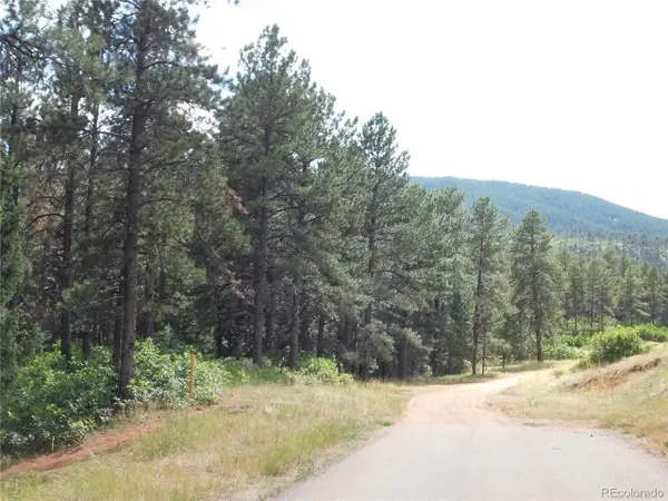 8169 Bannock Dr, Larkspur, CO 80118