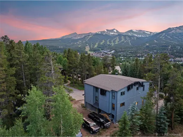 100 N Gold Flake Ter #A, Breckenridge, CO 80424