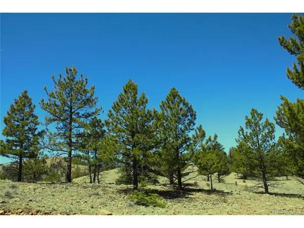Address Withheld By Seller, Hartsel, CO 80449