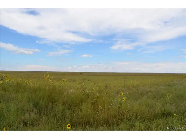 8 County Rd V, Rush, CO 80833