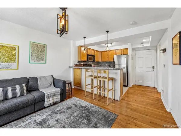 1833 N Williams St #504, Denver, CO 80218