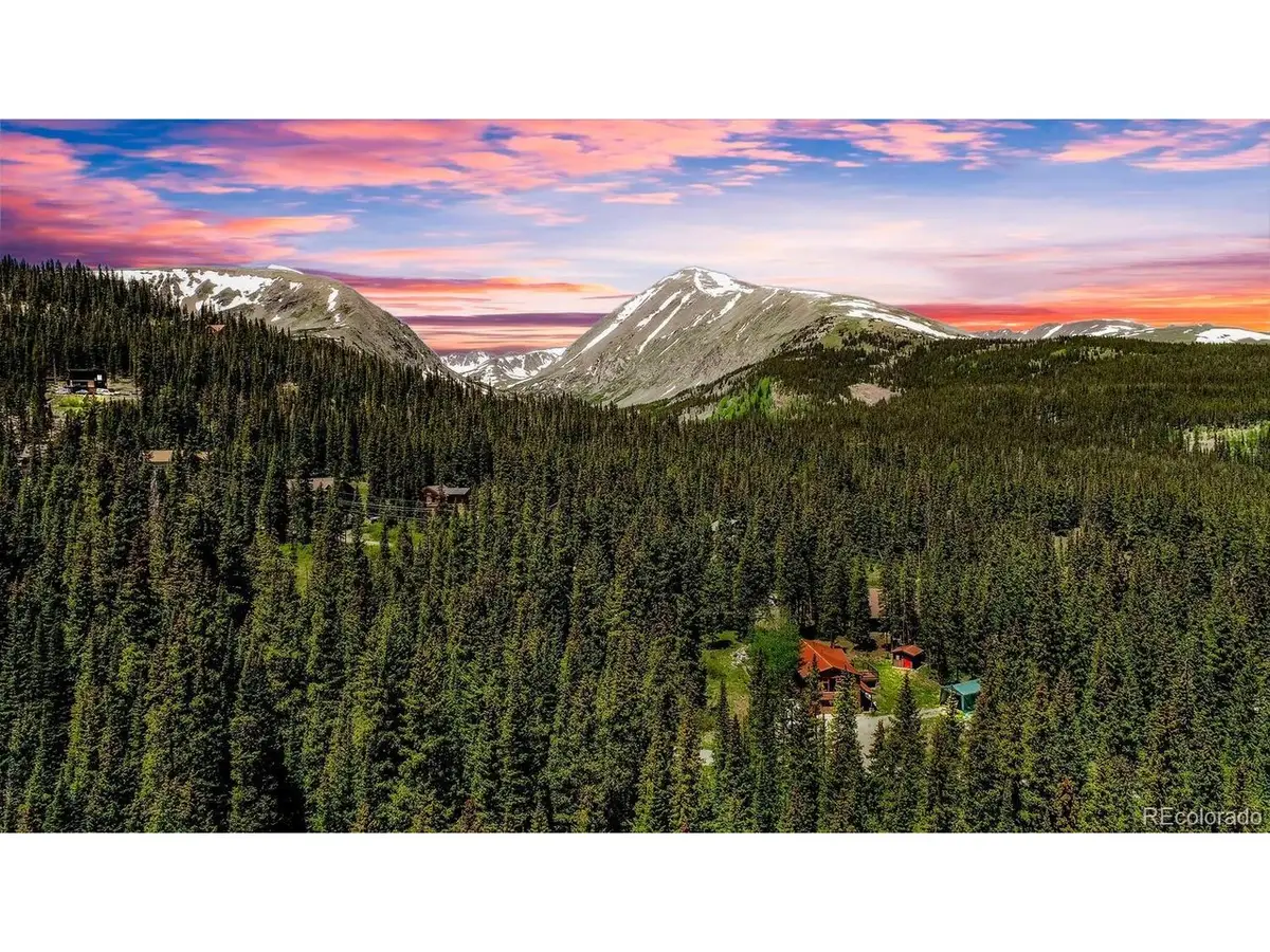 307 Cr 674, Breckenridge, CO 80424 - #1