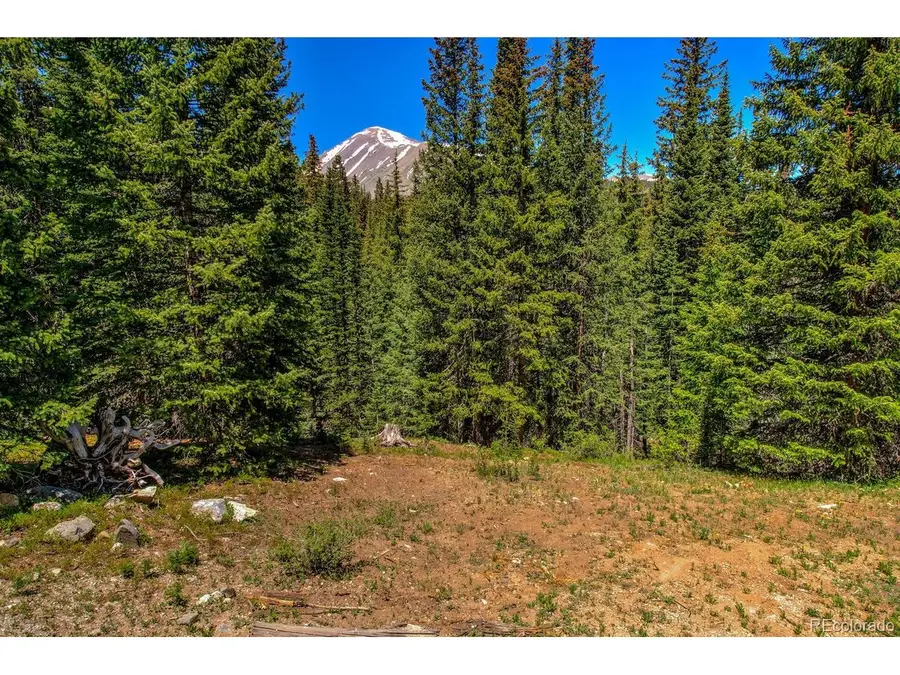 307 Cr 674, Breckenridge, CO 80424 - #3