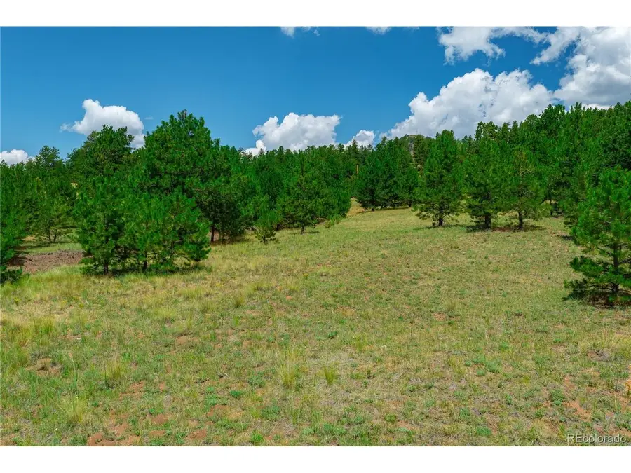 28 Penrose Cir, Cripple Creek, CO 80813 - #3