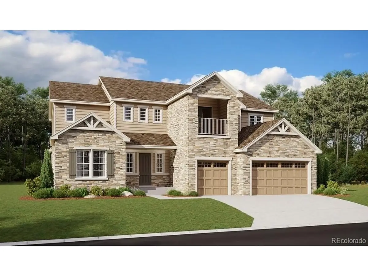1667 Green Fern Pt, Castle Rock, CO 80104 - #1