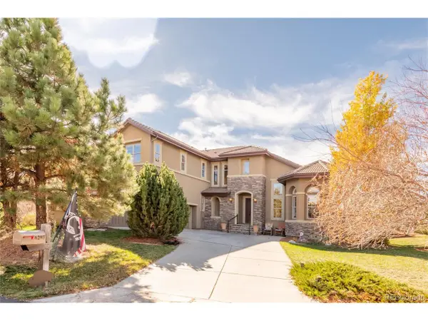 6293 Ellingwood Point Way, Castle Rock, CO 80108