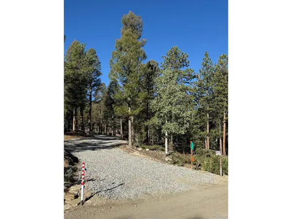 1667 Singletree Rd, Hartsel, CO 80449