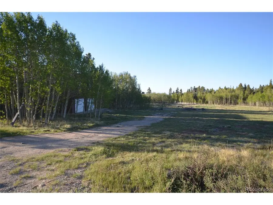 484 Wheat Way Way, Fairplay, CO 80440 - #2