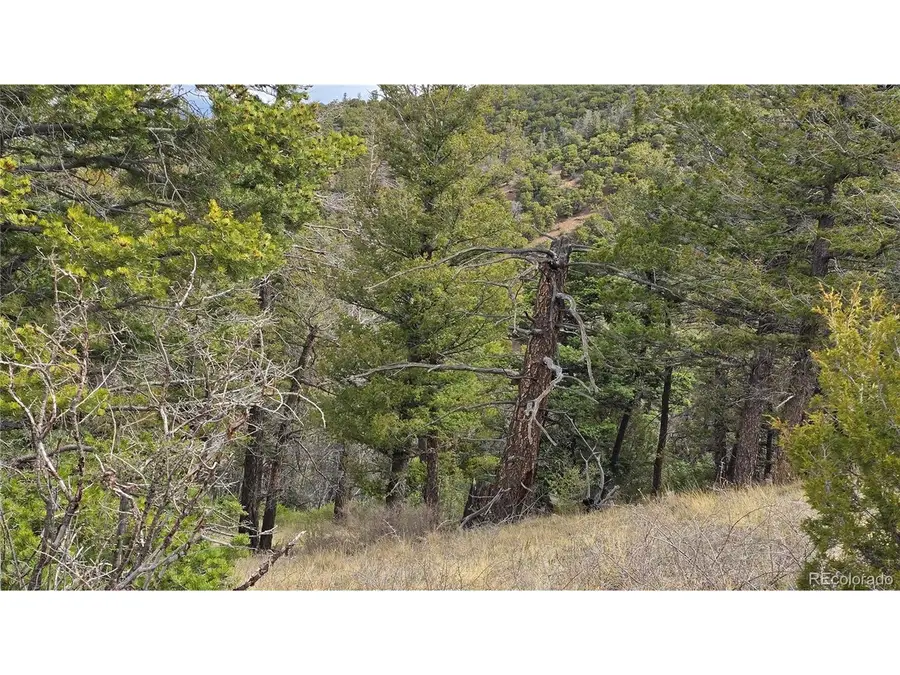 5505 Balleroy Rd, Fort Garland, CO 81133 - #3