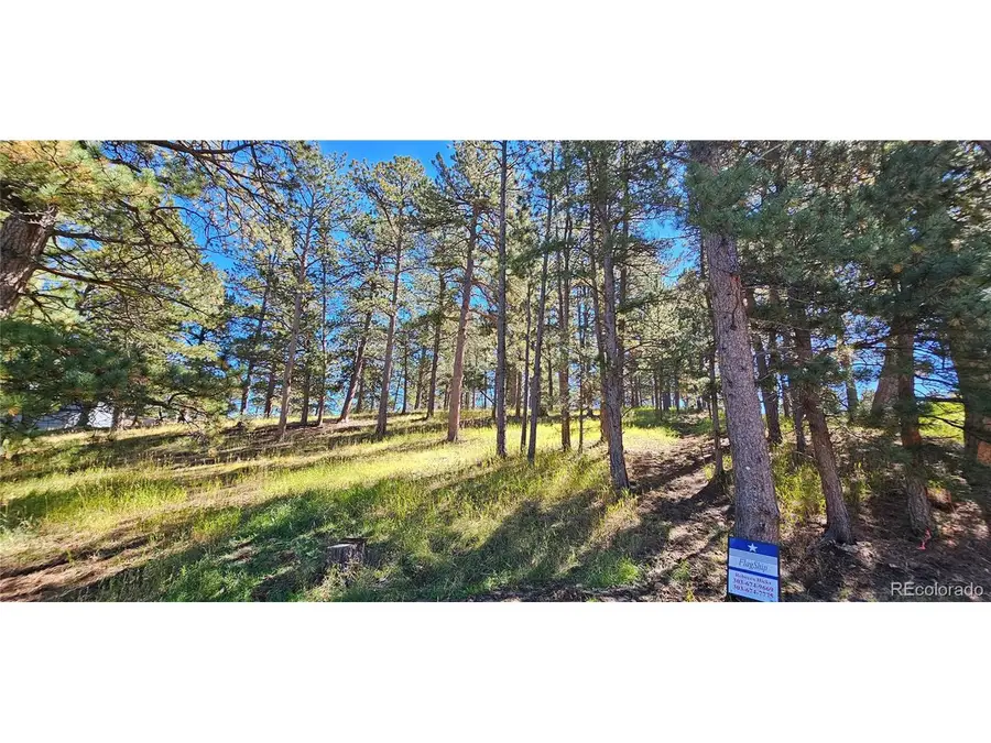 363 Interlocken Ct, Evergreen, CO 80439 - #3