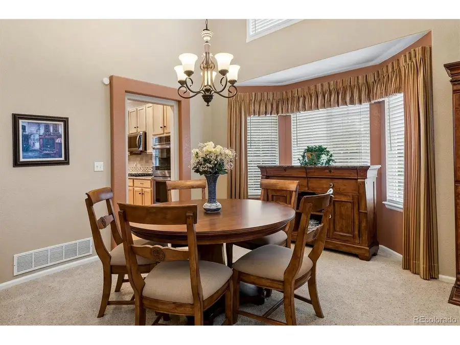 11580 Terrawood Ct, Parker, CO 80134 - #3