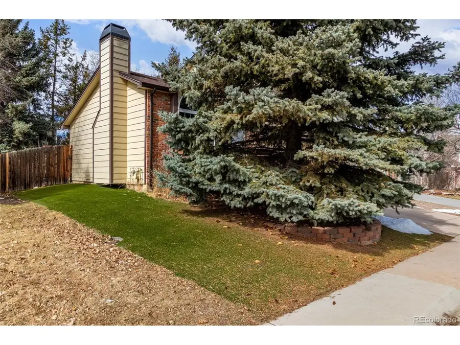 119 S Pembrook St, Castle Rock, CO 80104 - #3