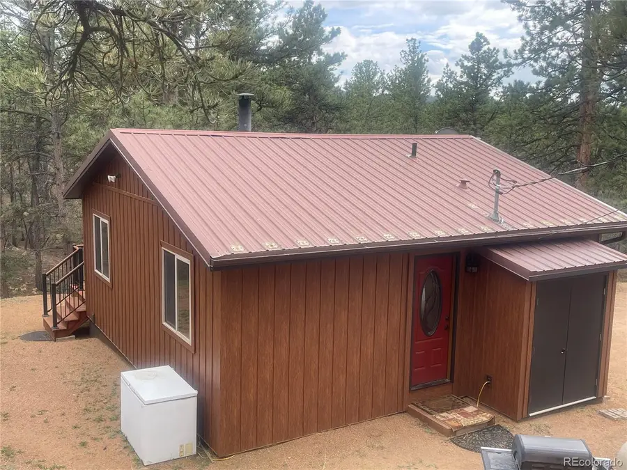 110 Wallace Dr, Florissant, CO 80816 - #3
