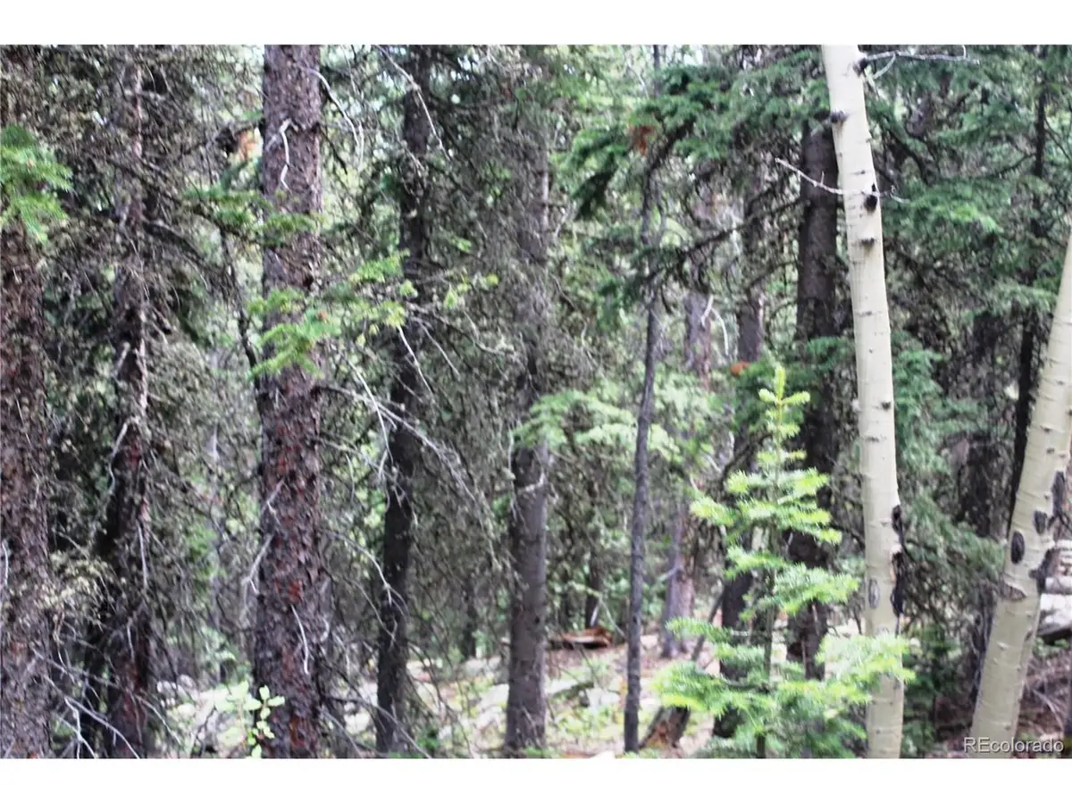 0 Hidden Wilderness Rd, Idaho Springs, CO 80452 - #1