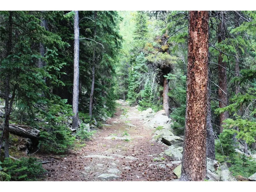 0 Hidden Wilderness Rd, Idaho Springs, CO 80452 - #2