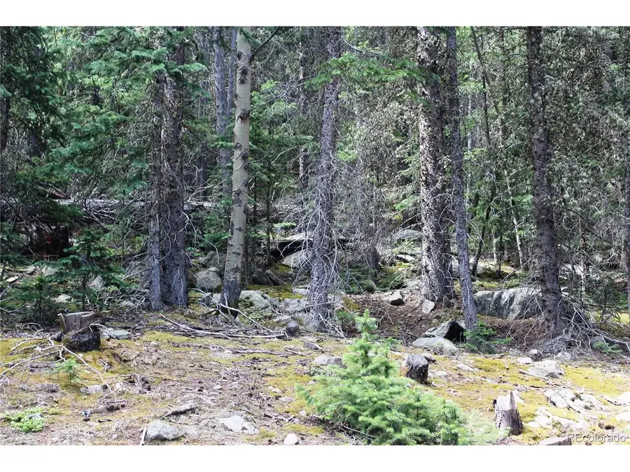 0 Hidden Wilderness Rd, Idaho Springs, CO 80452 - #3