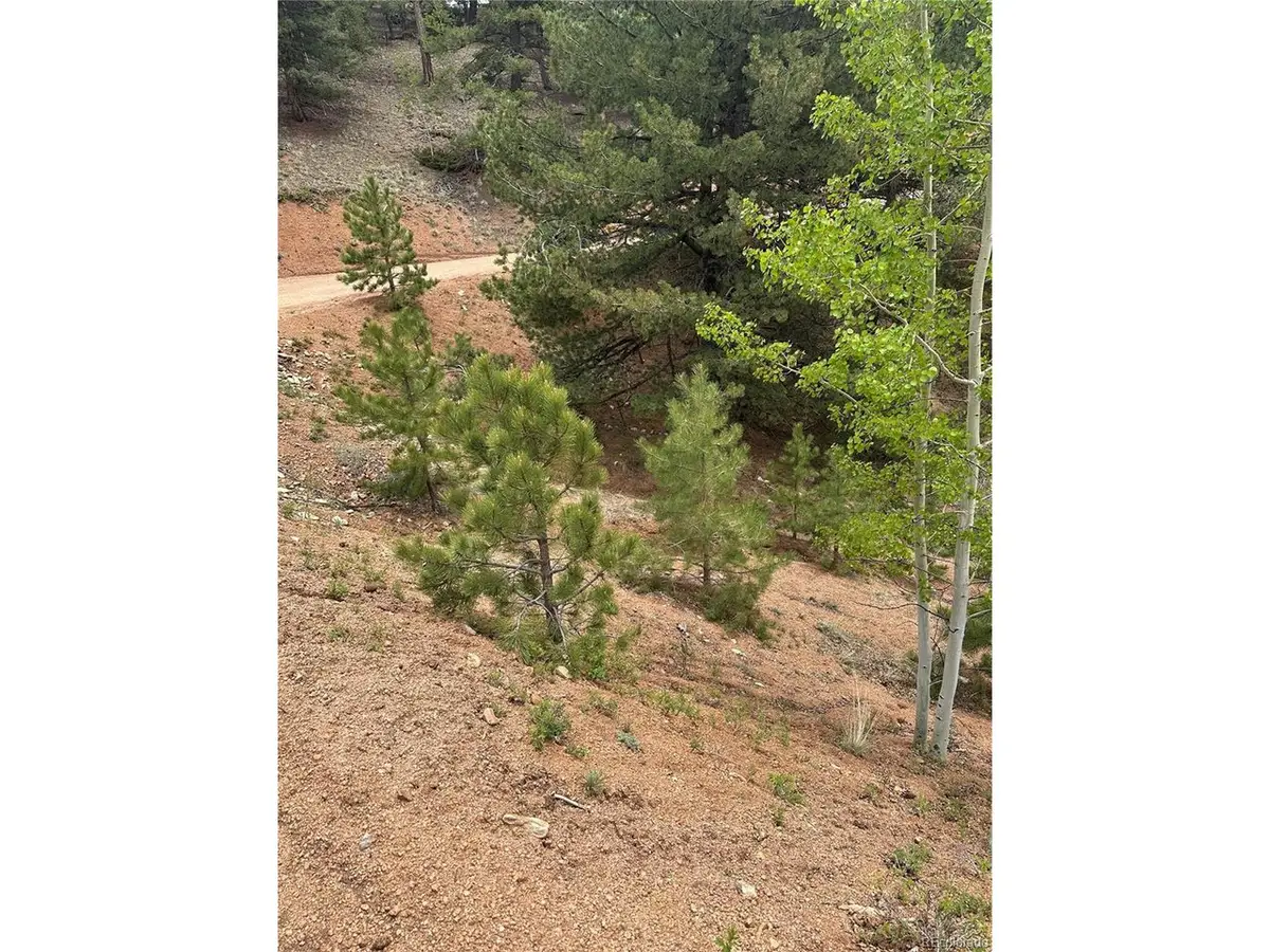 1600 Pikes Peak Dr, Divide, CO 80814 - #1