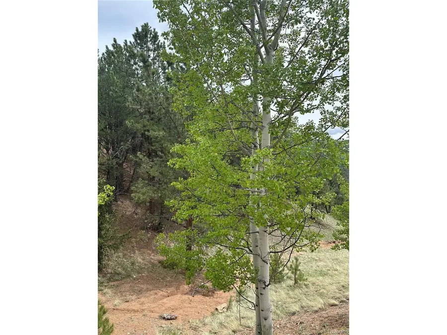 1600 Pikes Peak Dr, Divide, CO 80814 - #2