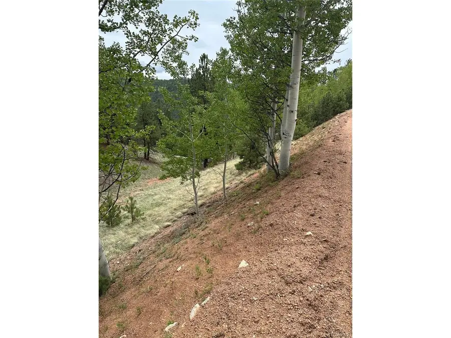 1600 Pikes Peak Dr, Divide, CO 80814 - #3