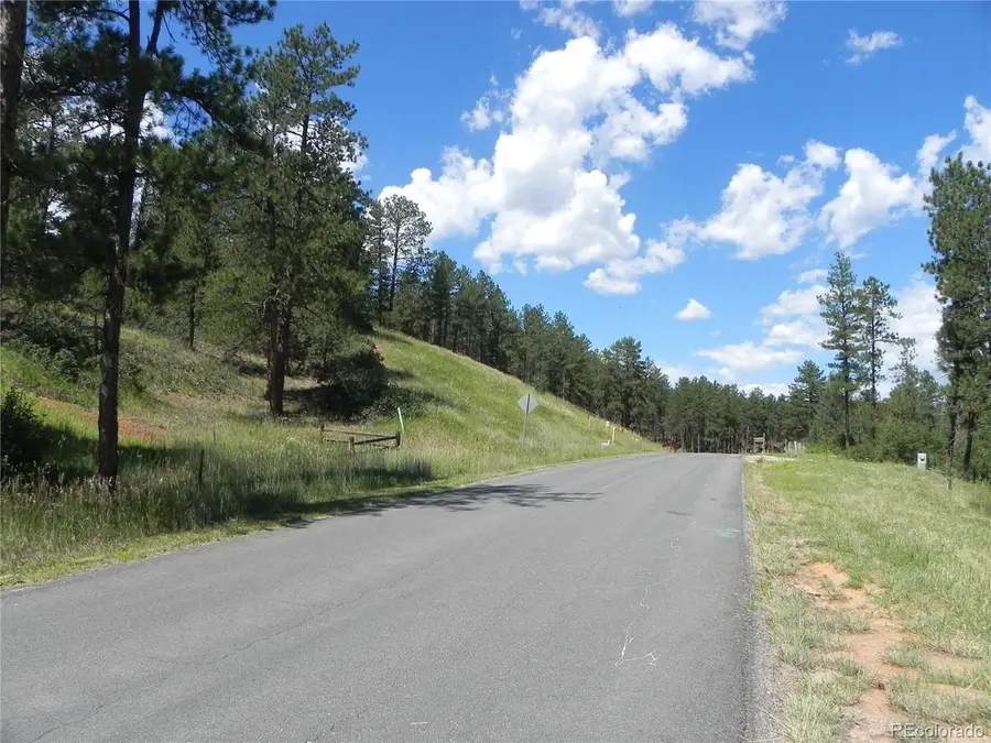 4144 Cheyenne Dr, Larkspur, CO 80118 - #2