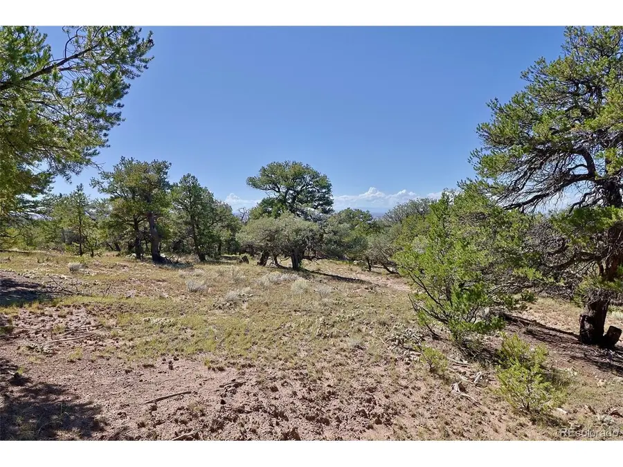 1731 Willow Creek Way, Crestone, CO 81131 - #3