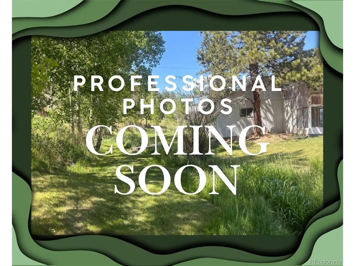 427 Brookside Dr, Bailey, CO 80421 - #1