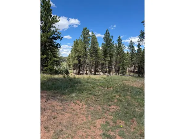 1396 Roberts Ranch Rd, Woodland Park, CO 80863