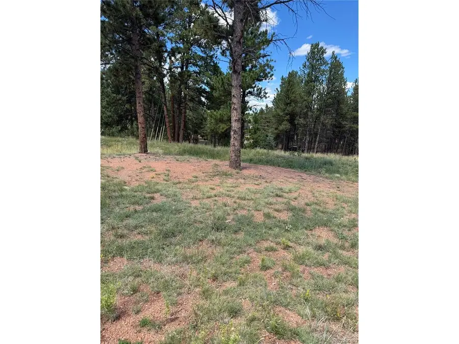 1396 Roberts Ranch Rd, Woodland Park, CO 80863 - #2