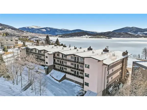 401 W La Bonte St #202, Dillon, CO 80435