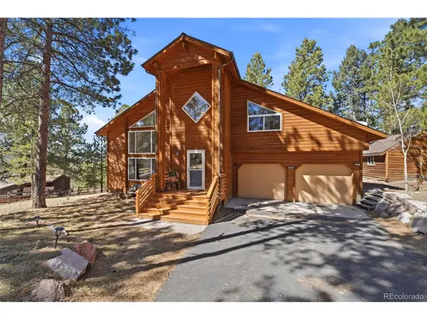 1100 Pine Ridge Rd, Woodland Park, CO 80863