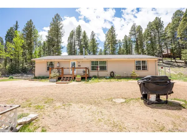 44 Silver Trl, Florissant, CO 80816