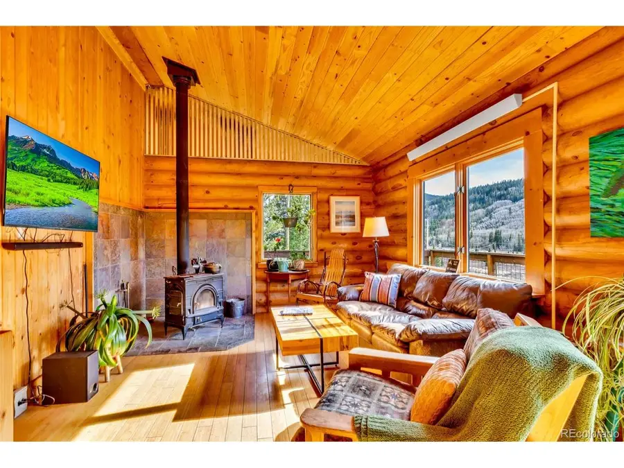 2246 County Road 4, Alma, CO 80420 - #3