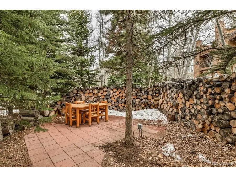 53 Burgundy Cir #A, Silverthorne, CO 80498 - #2