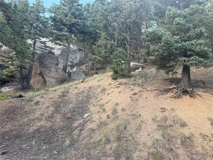 336 Ponderosa Vw, Manitou Springs, CO 80829 - #3