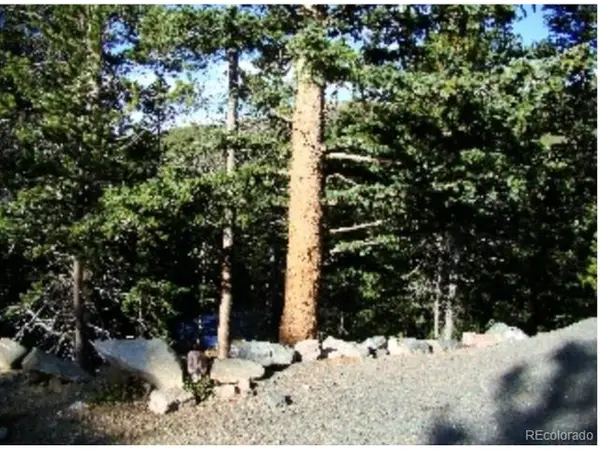 Lot 89 Mine Rd, Idaho Springs, CO 80453