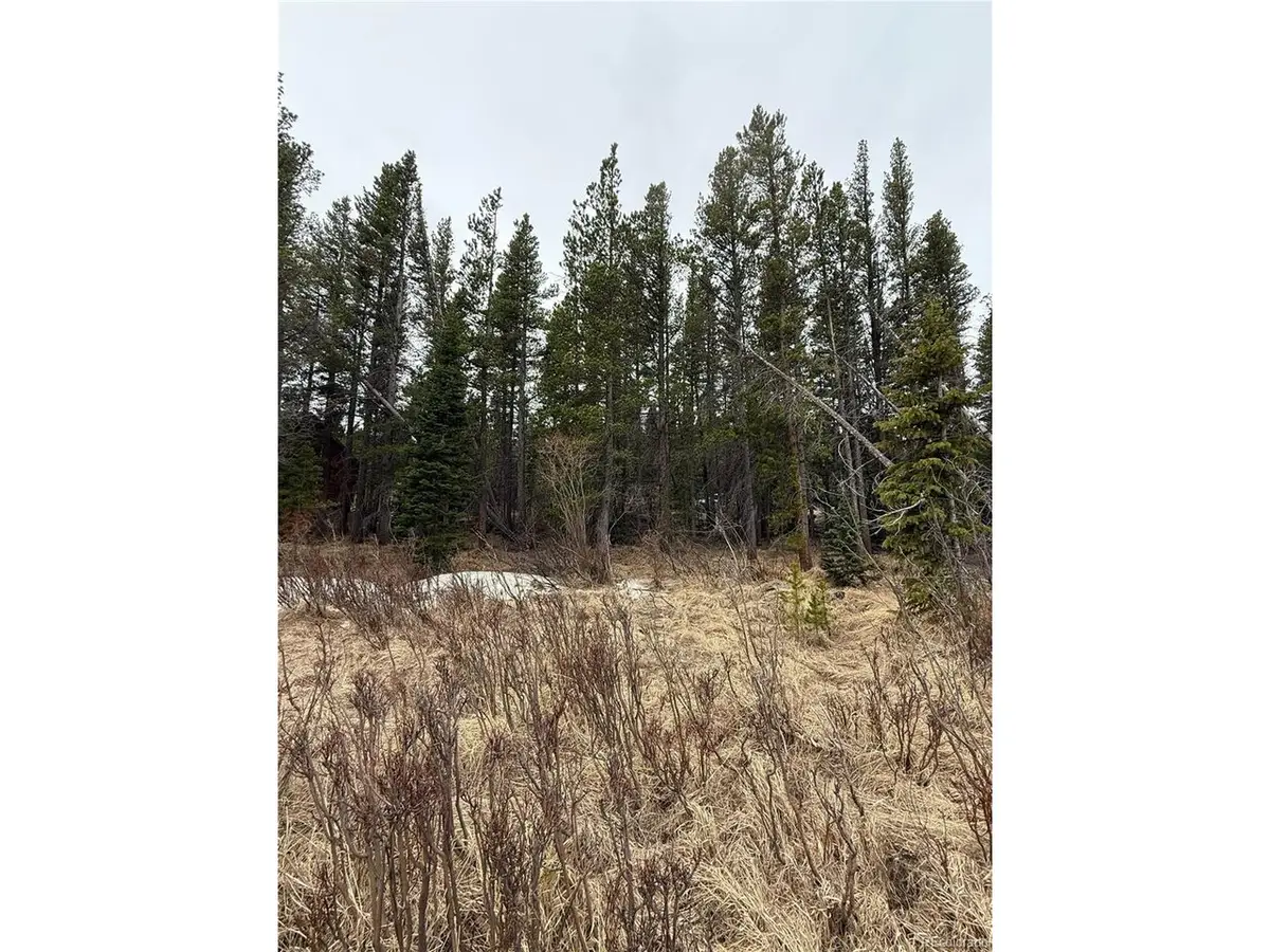 111 Silver Creek Rd, Idaho Springs, CO 80452 - #1