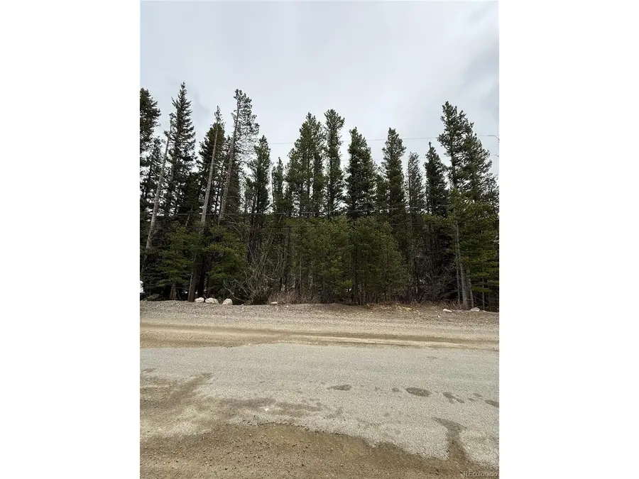 111 Silver Creek Rd, Idaho Springs, CO 80452 - #3