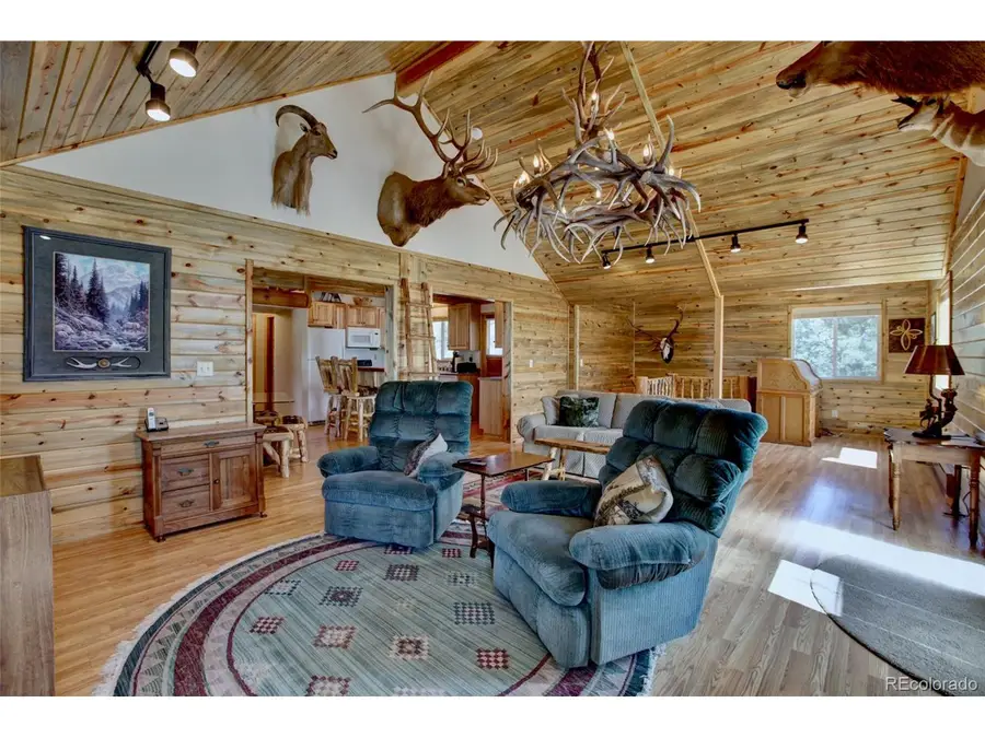 530 Red Feather Rd, Cotopaxi, CO 81223 - #3