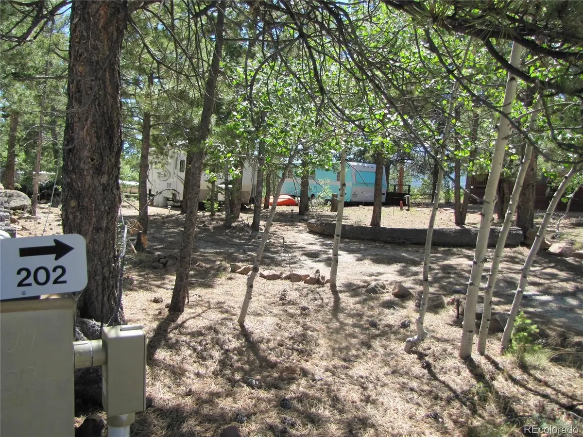 19 Lantern Loop, Hartsel, CO 80449 - #1