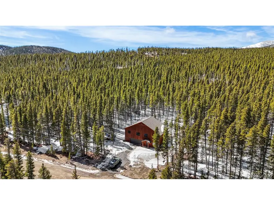 79 Beaver Rd, Idaho Springs, CO 80452 - #2