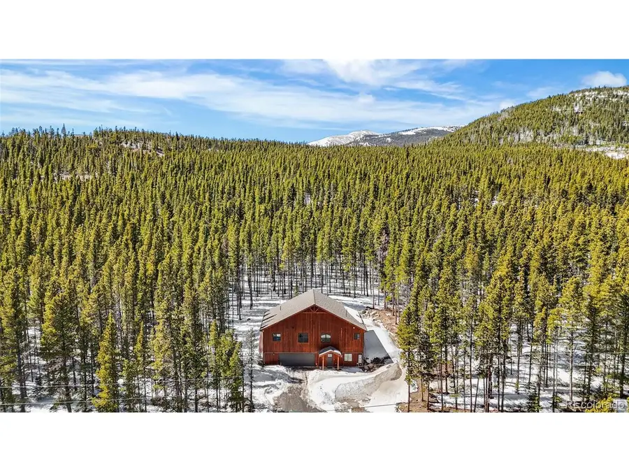 79 Beaver Rd, Idaho Springs, CO 80452 - #3