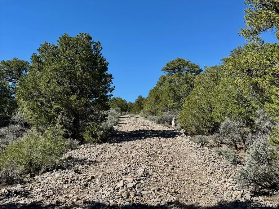 88 Elk Park Rd, San Luis, CO 81152 - #3