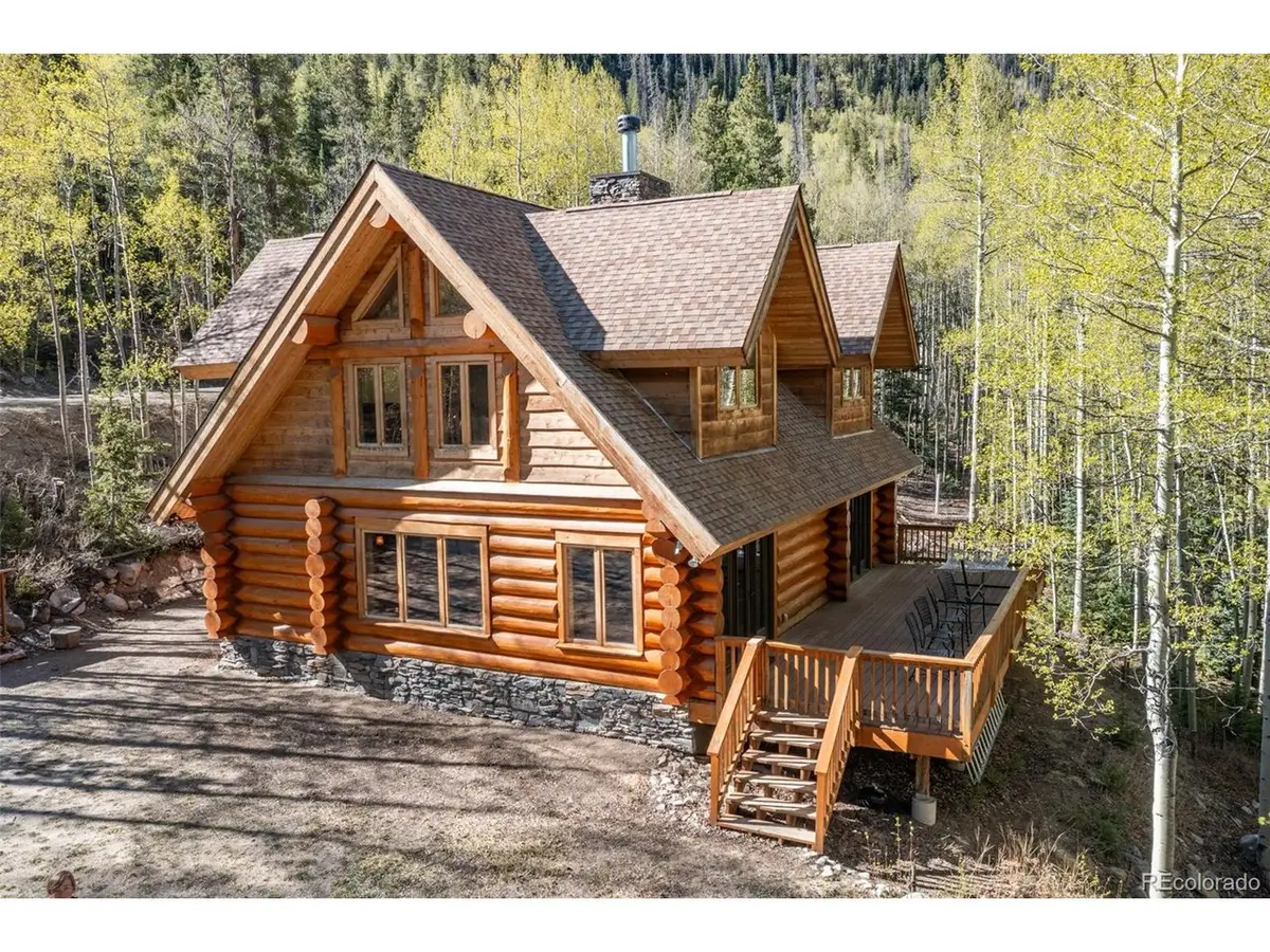 24500 County Road 162, Nathrop, CO 81236 - #1