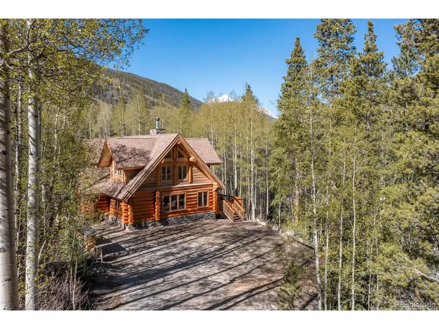 24500 County Road 162, Nathrop, CO 81236 - #2