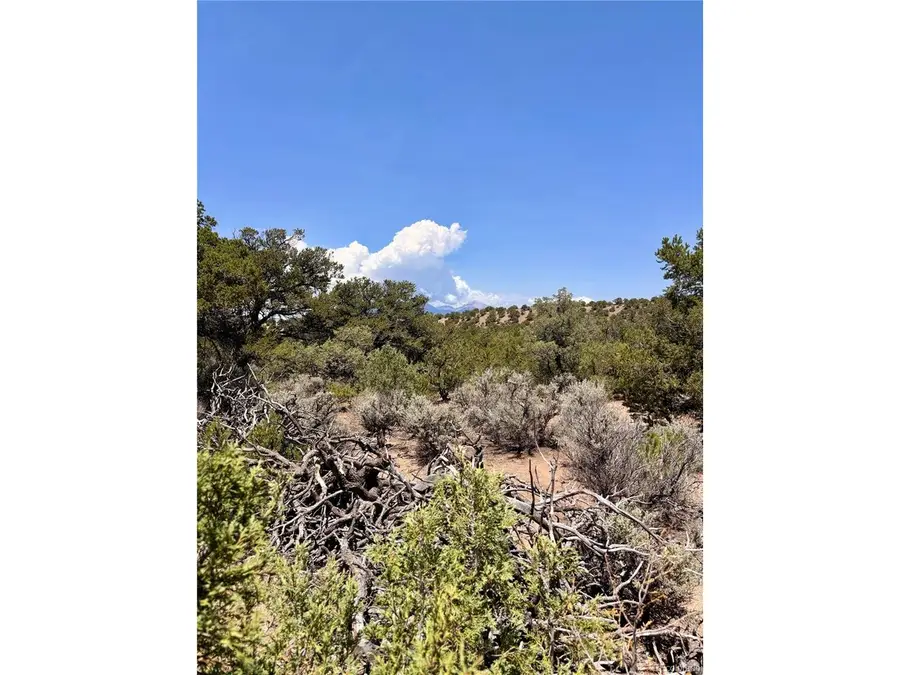 1134 Jorgulesco Rd, Fort Garland, CO 81133 - #3